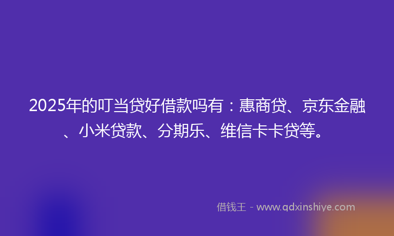 2025年的叮当贷好借款吗有：惠商贷、京东金融、小米贷款、分期乐、维信卡卡贷等。