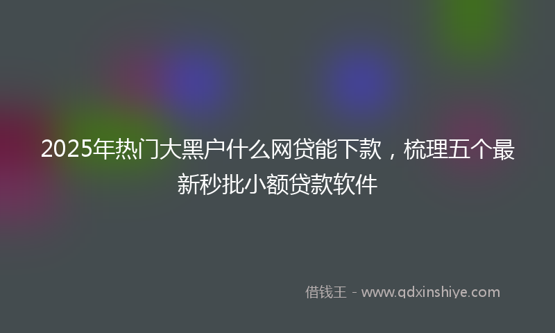 2025年热门大黑户什么网贷能下款，梳理五个最新秒批小额贷款软件