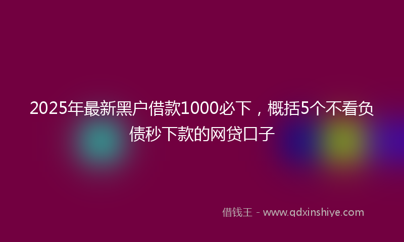 2025年最新黑户借款1000必下，概括5个不看负债秒下款的网贷口子