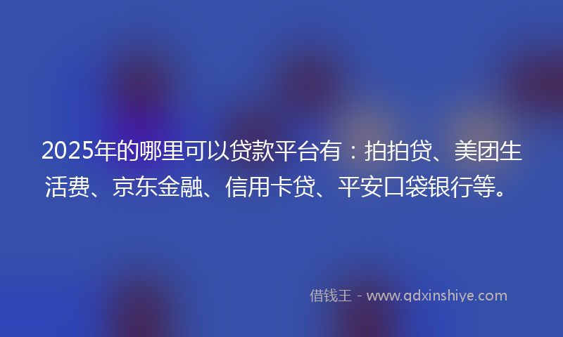 2025年的哪里可以贷款平台有：拍拍贷、美团生活费、京东金融、信用卡贷、平安口袋银行等。