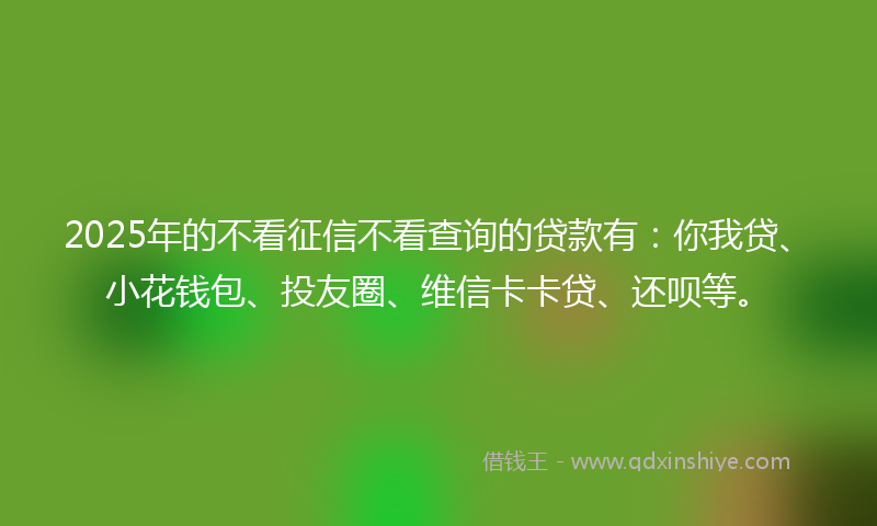 2025年的不看征信不看查询的贷款有：你我贷、小花钱包、投友圈、维信卡卡贷、还呗等。