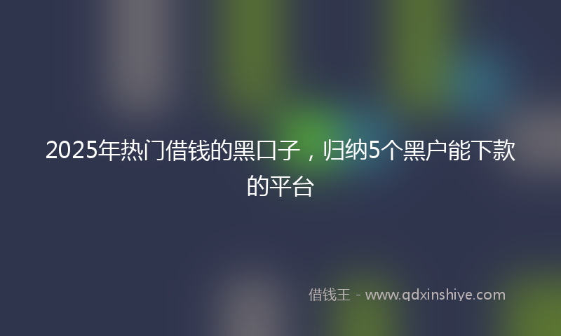 2025年热门借钱的黑口子，归纳5个黑户能下款的平台