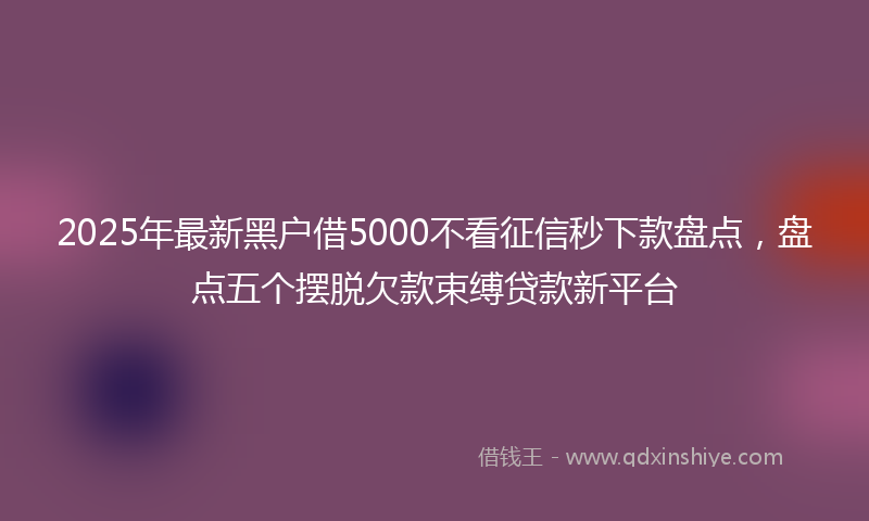 2025年最新黑户借5000不看征信秒下款盘点，盘点五个摆脱欠款束缚贷款新平台