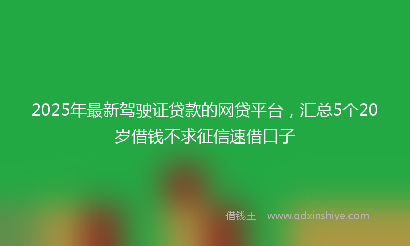 2025年最新驾驶证贷款的网贷平台，汇总5个20岁借钱不求征信速借口子
