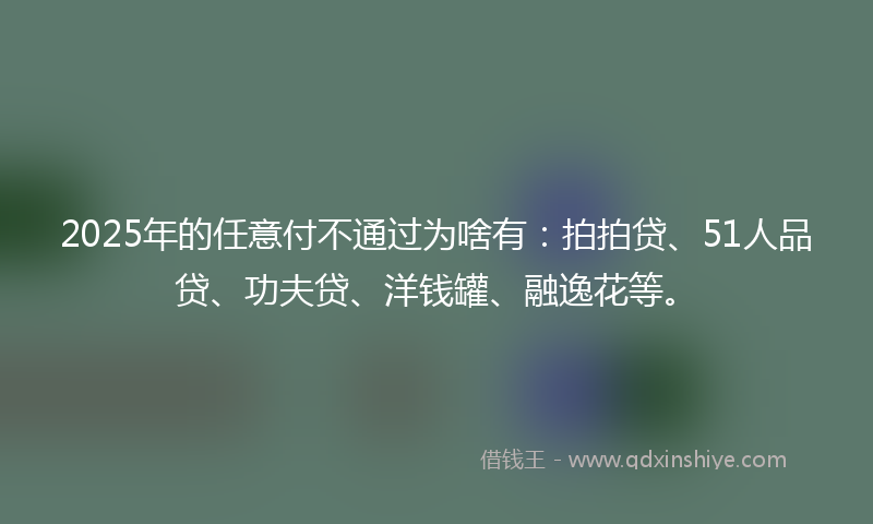 2025年的任意付不通过为啥有：拍拍贷、51人品贷、功夫贷、洋钱罐、融逸花等。