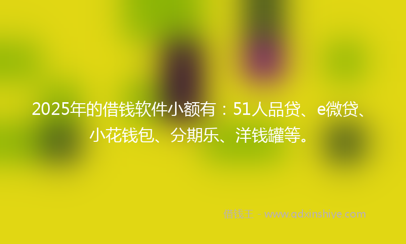 2025年的借钱软件小额有：51人品贷、e微贷、小花钱包、分期乐、洋钱罐等。