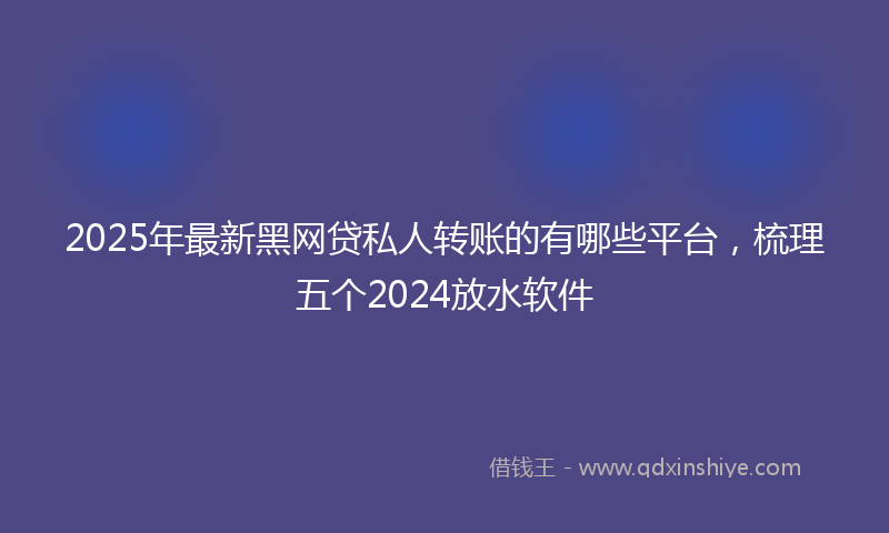 2025年最新黑网贷私人转账的有哪些平台，梳理五个2024放水软件