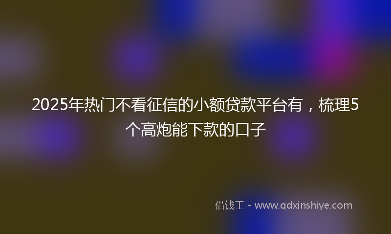 2025年热门不看征信的小额贷款平台有，梳理5个高炮能下款的口子