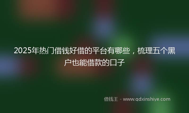 2025年热门借钱好借的平台有哪些，梳理五个黑户也能借款的口子