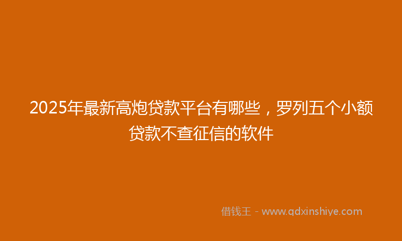 2025年最新高炮贷款平台有哪些，罗列五个小额贷款不查征信的软件