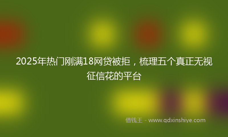 2025年热门刚满18网贷被拒，梳理五个真正无视征信花的平台