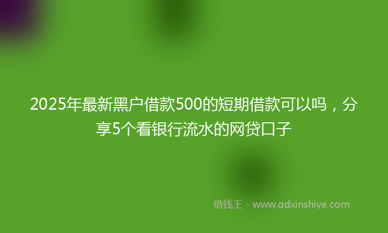 2025年最新黑户借款500的短期借款可以吗，分享5个看银行流水的网贷口子