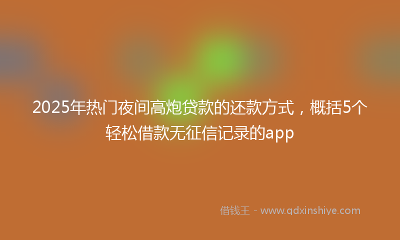 2025年热门夜间高炮贷款的还款方式，概括5个轻松借款无征信记录的app