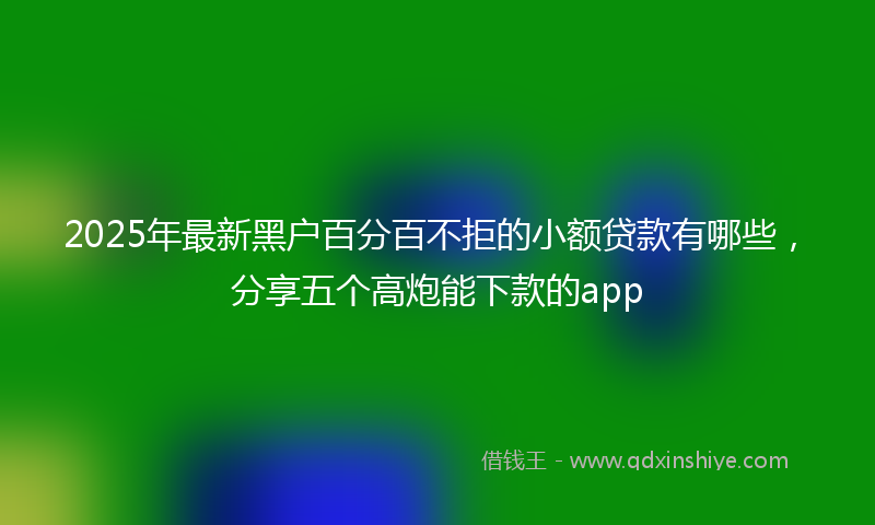2025年最新黑户百分百不拒的小额贷款有哪些，分享五个高炮能下款的app