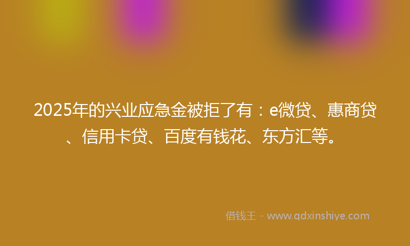2025年的兴业应急金被拒了有：e微贷、惠商贷、信用卡贷、百度有钱花、东方汇等。