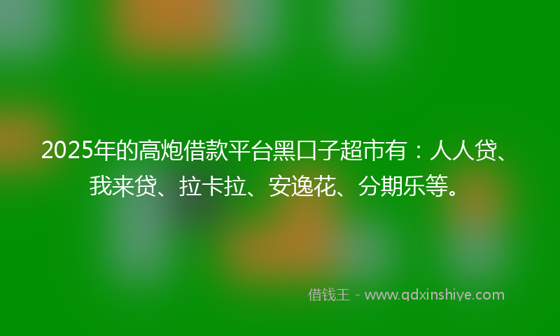 2025年的高炮借款平台黑口子超市有：人人贷、我来贷、拉卡拉、安逸花、分期乐等。