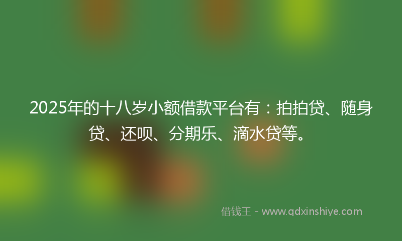 2025年的十八岁小额借款平台有：拍拍贷、随身贷、还呗、分期乐、滴水贷等。
