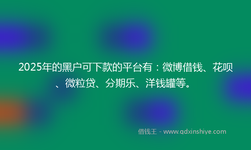 2025年的黑户可下款的平台有：微博借钱、花呗、微粒贷、分期乐、洋钱罐等。