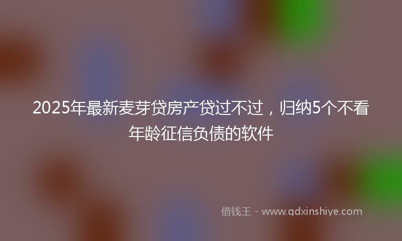 2025年最新麦芽贷房产贷过不过，归纳5个不看年龄征信负债的软件