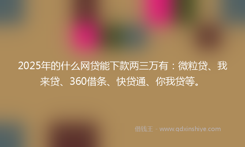2025年的什么网贷能下款两三万有：微粒贷、我来贷、360借条、快贷通、你我贷等。