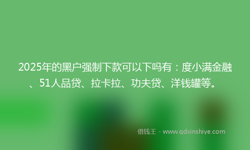 2025年的黑户强制下款可以下吗有：度小满金融、51人品贷、拉卡拉、功夫贷、洋钱罐等。