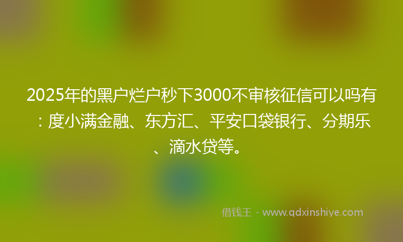 2025年的黑户烂户秒下3000不审核征信可以吗有：度小满金融、东方汇、平安口袋银行、分期乐、滴水贷等。
