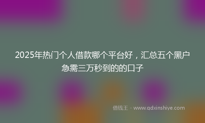2025年热门个人借款哪个平台好，汇总五个黑户急需三万秒到的的口子