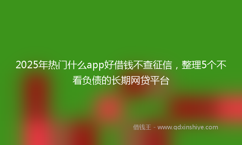 2025年热门什么app好借钱不查征信，整理5个不看负债的长期网贷平台