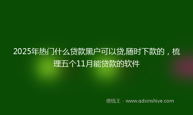 2025年热门什么贷款黑户可以贷,随时下款的，梳理五个11月能贷款的软件