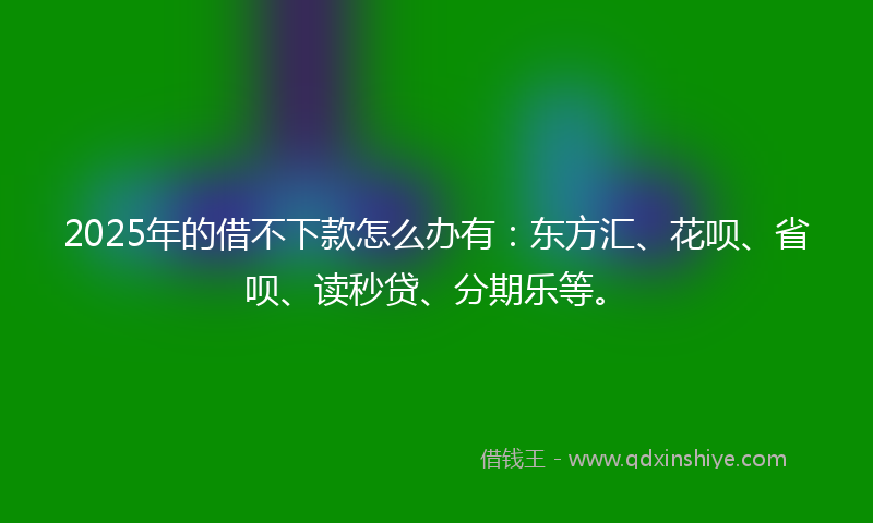 2025年的借不下款怎么办有：东方汇、花呗、省呗、读秒贷、分期乐等。
