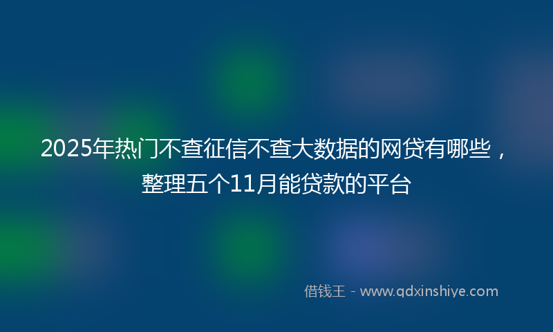 2025年热门不查征信不查大数据的网贷有哪些，整理五个11月能贷款的平台