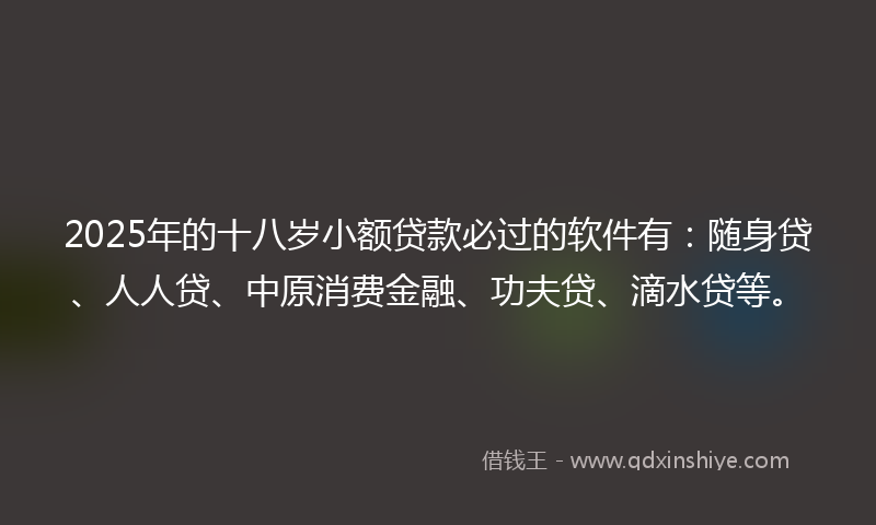 2025年的十八岁小额贷款必过的软件有：随身贷、人人贷、中原消费金融、功夫贷、滴水贷等。