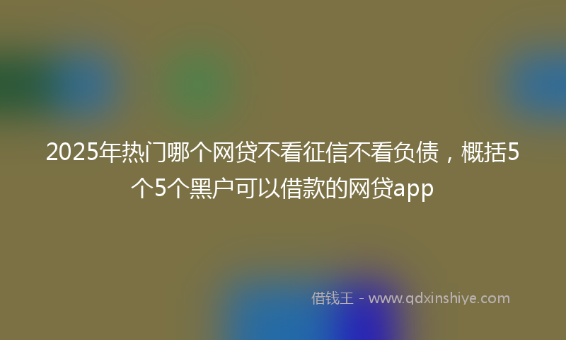 2025年热门哪个网贷不看征信不看负债，概括5个5个黑户可以借款的网贷app