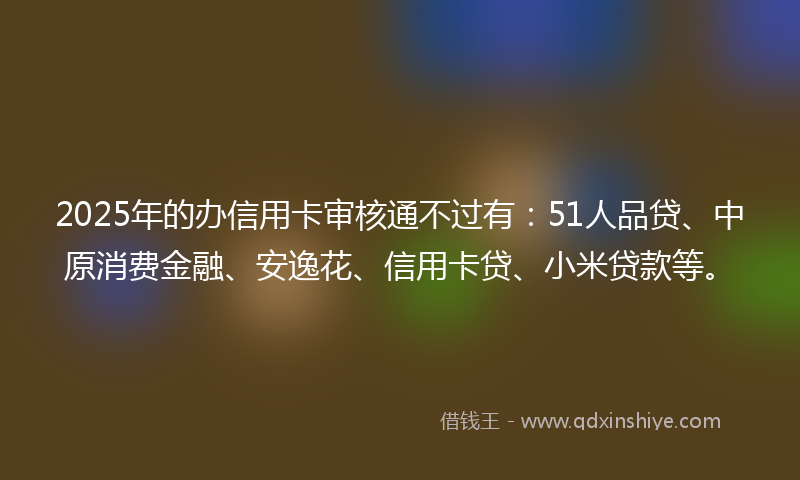 2025年的办信用卡审核通不过有：51人品贷、中原消费金融、安逸花、信用卡贷、小米贷款等。