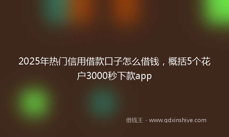 2025年热门信用借款口子怎么借钱，概括5个花户3000秒下款app