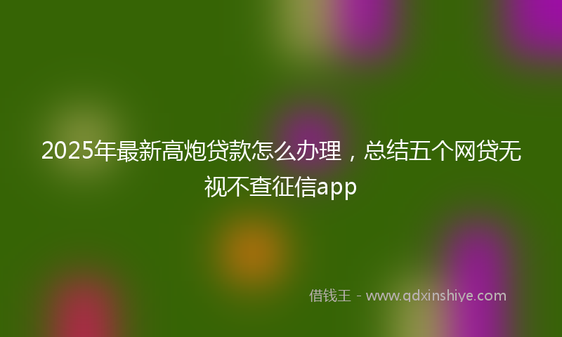 2025年最新高炮贷款怎么办理，总结五个网贷无视不查征信app