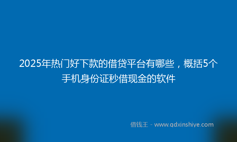 2025年热门好下款的借贷平台有哪些，概括5个手机身份证秒借现金的软件