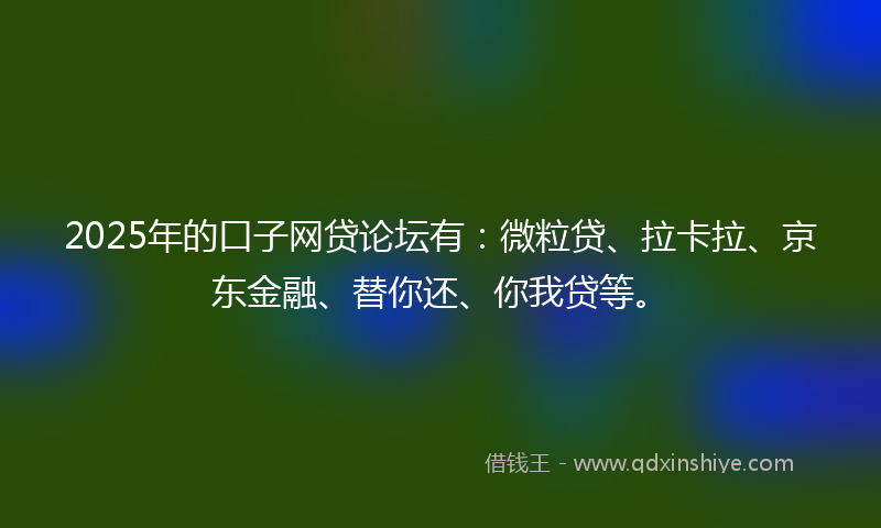 2025年的口子网贷论坛有：微粒贷、拉卡拉、京东金融、替你还、你我贷等。