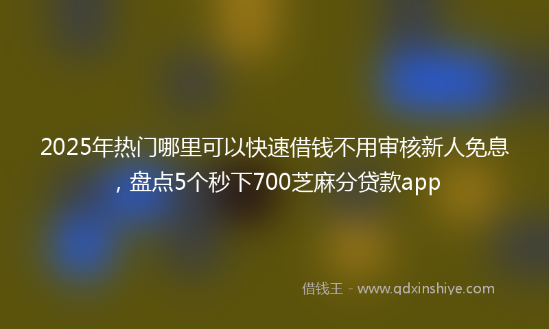 2025年热门哪里可以快速借钱不用审核新人免息，盘点5个秒下700芝麻分贷款app