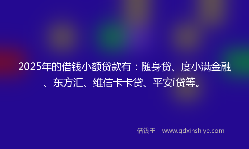 2025年的借钱小额贷款有：随身贷、度小满金融、东方汇、维信卡卡贷、平安i贷等。