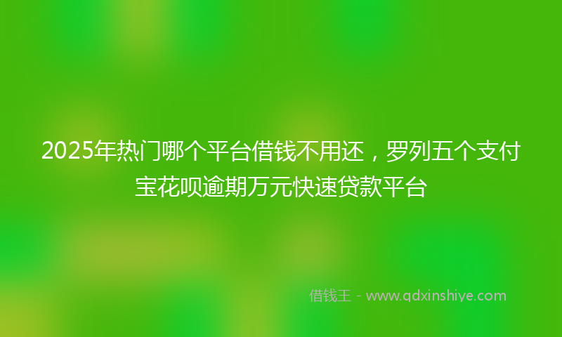2025年热门哪个平台借钱不用还，罗列五个支付宝花呗逾期万元快速贷款平台