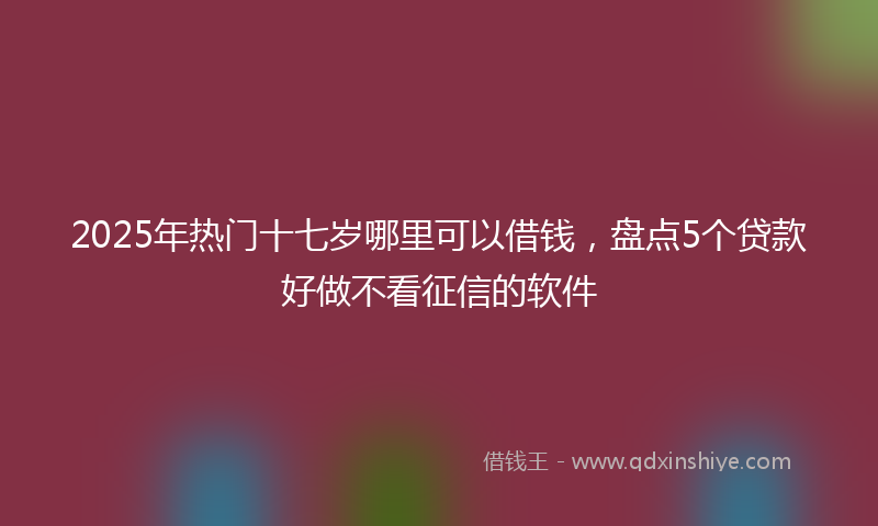 2025年热门十七岁哪里可以借钱，盘点5个贷款好做不看征信的软件