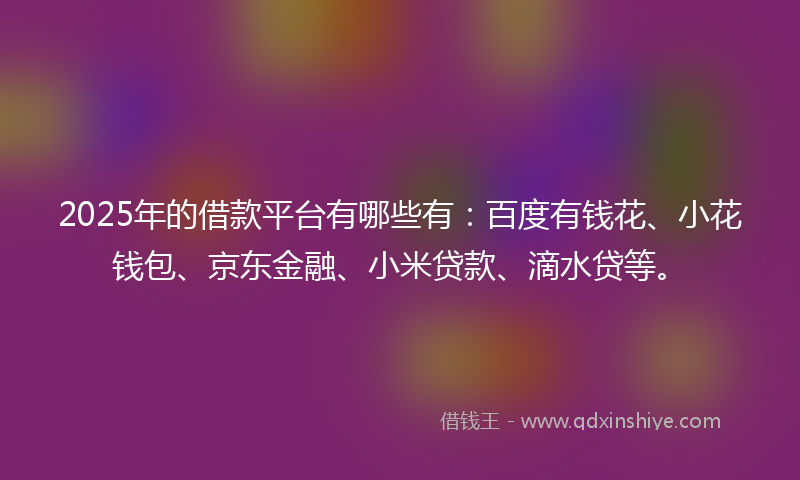 2025年的借款平台有哪些有：百度有钱花、小花钱包、京东金融、小米贷款、滴水贷等。