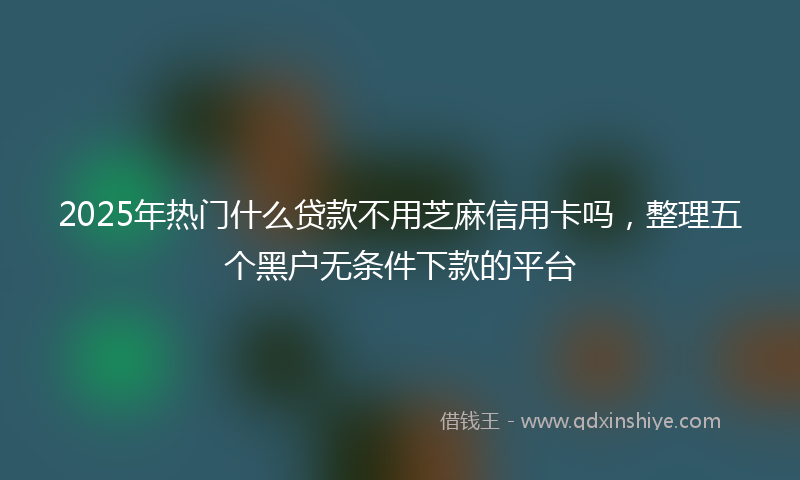 2025年热门什么贷款不用芝麻信用卡吗，整理五个黑户无条件下款的平台
