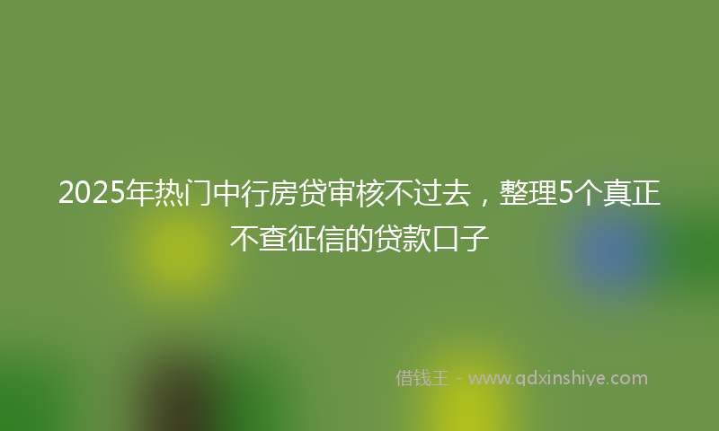 2025年热门中行房贷审核不过去，整理5个真正不查征信的贷款口子