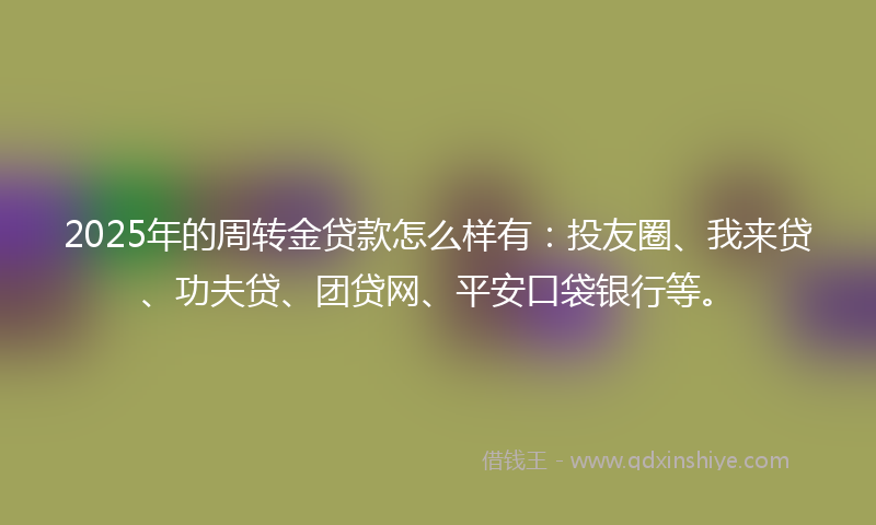 2025年的周转金贷款怎么样有：投友圈、我来贷、功夫贷、团贷网、平安口袋银行等。