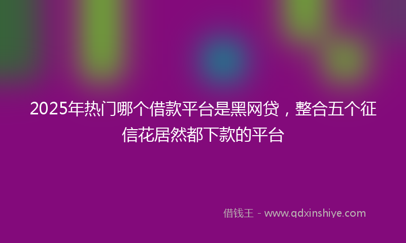 2025年热门哪个借款平台是黑网贷，整合五个征信花居然都下款的平台