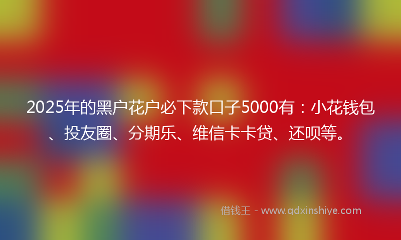2025年的黑户花户必下款口子5000有：小花钱包、投友圈、分期乐、维信卡卡贷、还呗等。