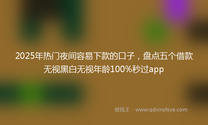 2025年热门夜间容易下款的口子，盘点五个借款无视黑白无视年龄100%秒过app