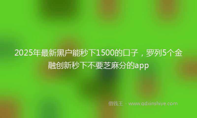 2025年最新黑户能秒下1500的口子，罗列5个金融创新秒下不要芝麻分的app
